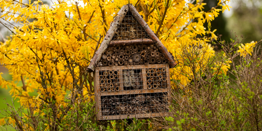 Avantage à avoir un hôtel à insectes