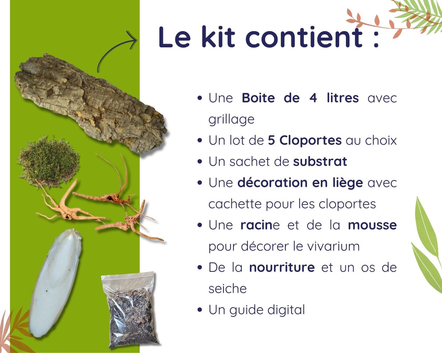 Kit d'élevage de cloportes