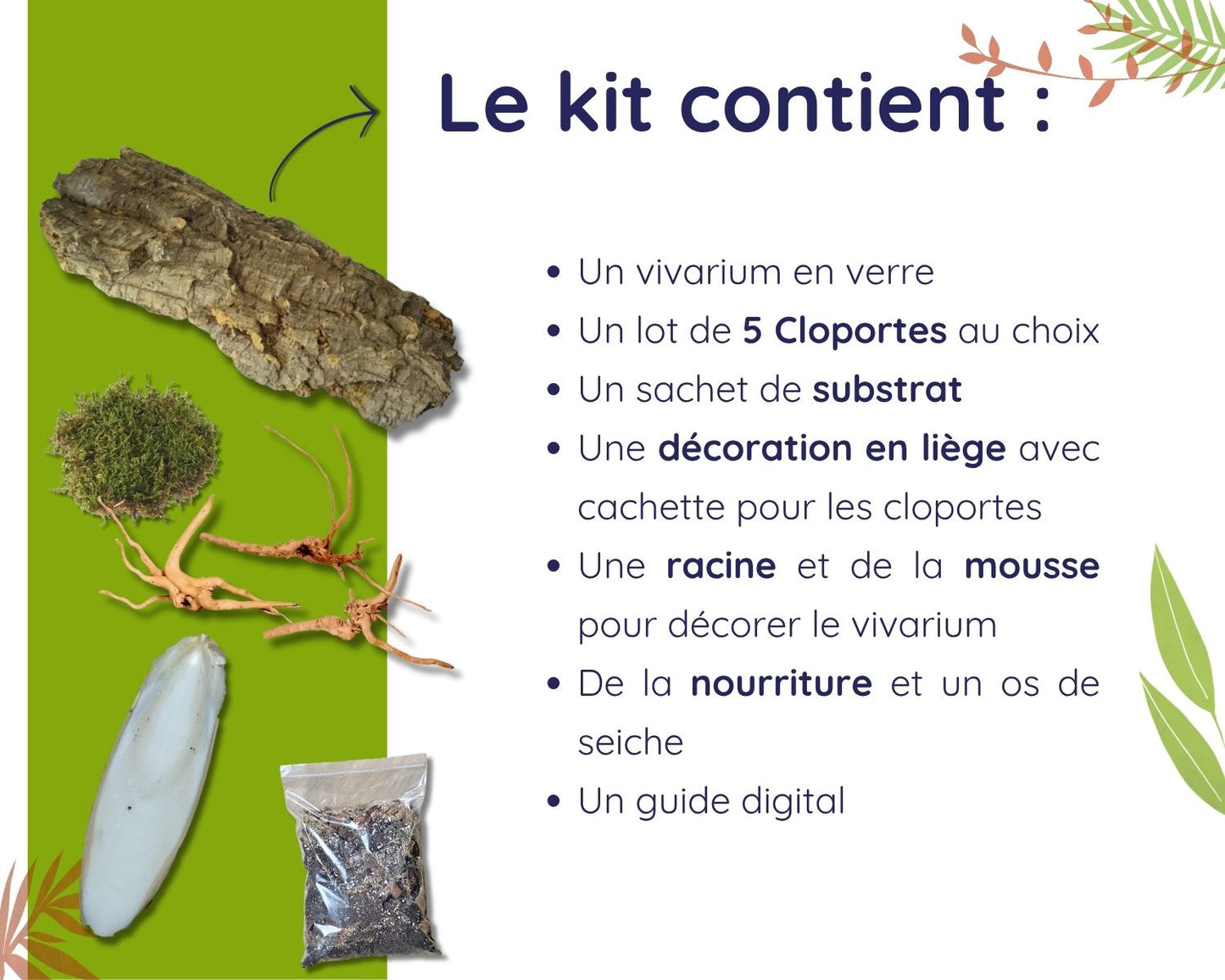 Kit d'élevage de cloportes