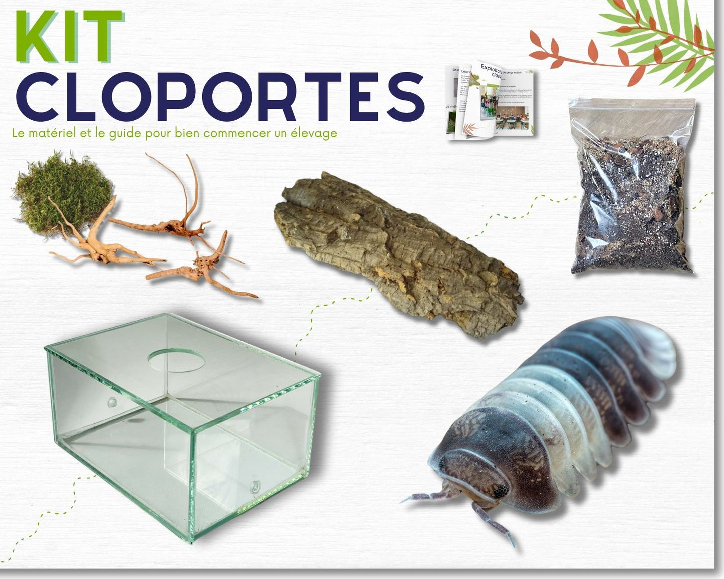 Kit d'élevage de cloportes