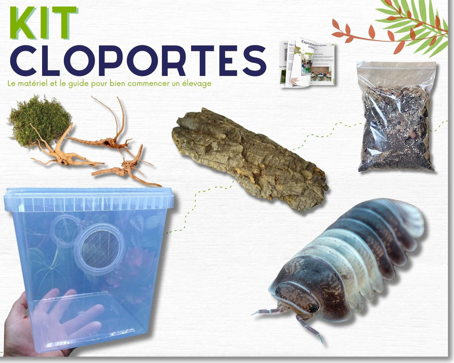 Kit d'élevage de cloportes