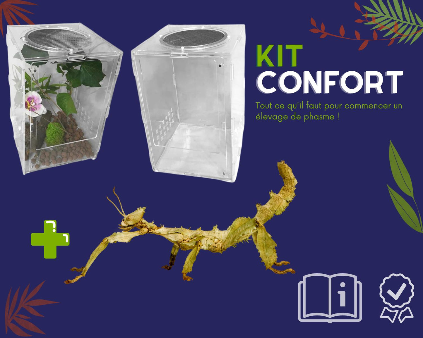 Kit CONFORT d'élevage - Phasmes