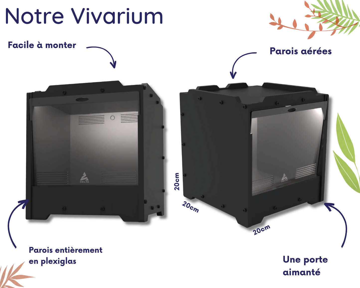 Vivarium Mantes - DELTA BUGZ20