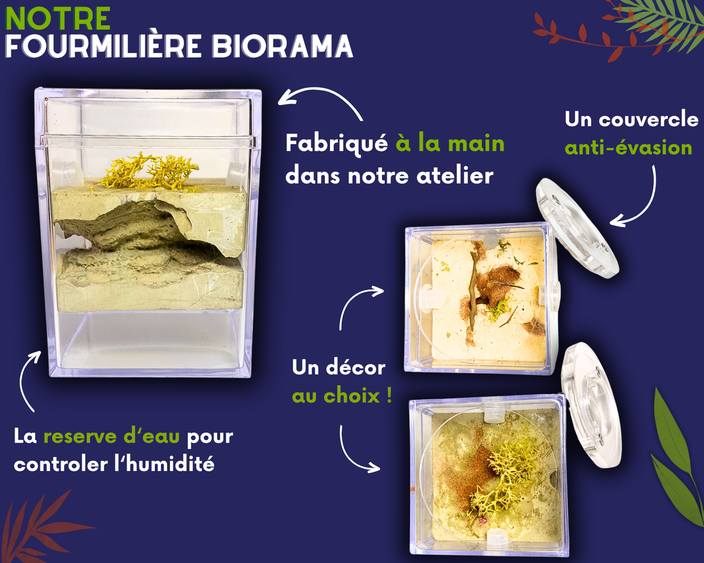 Fourmilière artificielle en vente