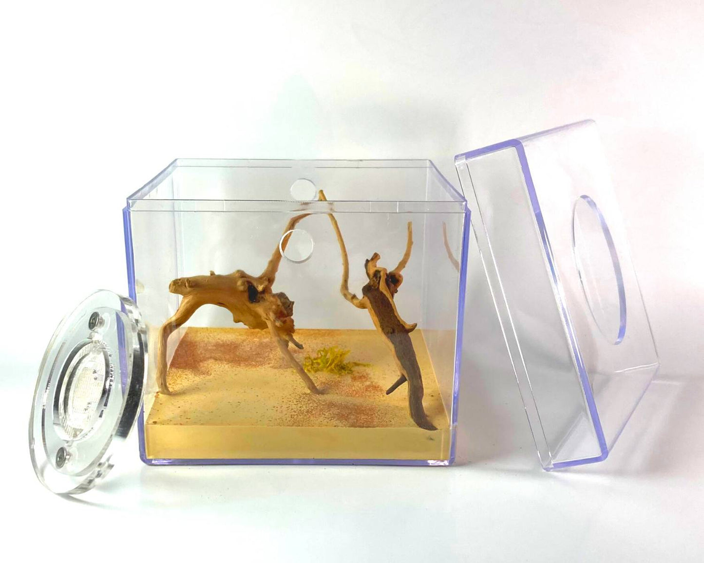 Aire de chasse Fourmis - Grand format