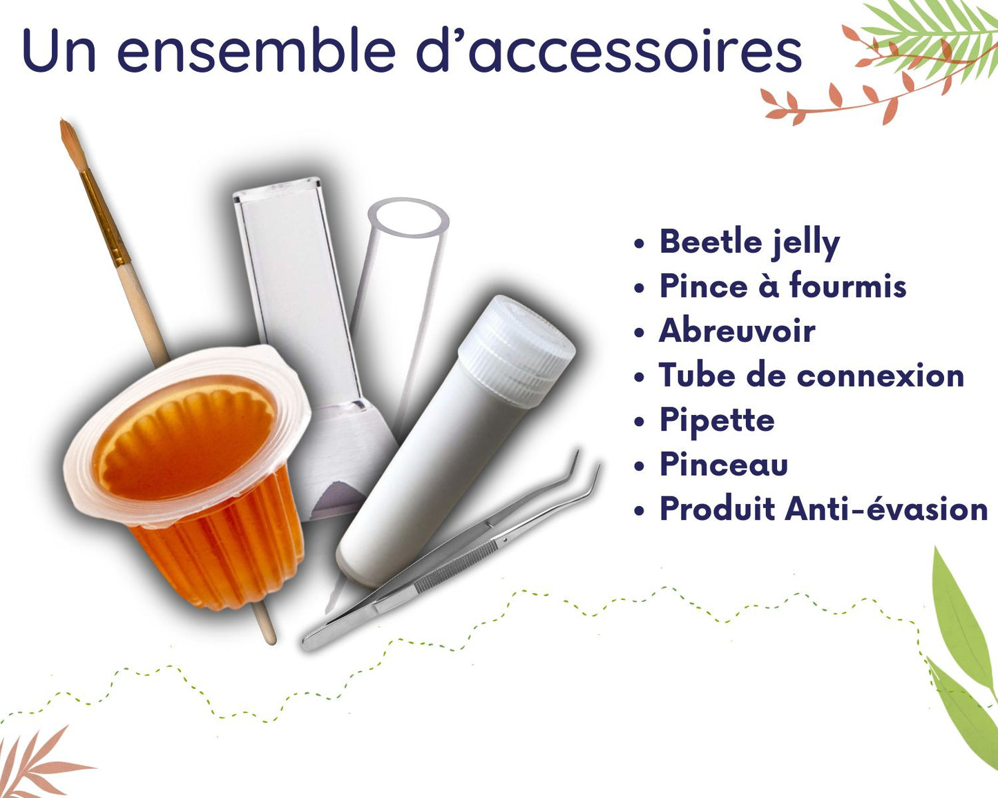Elevage de Fourmis en Classe