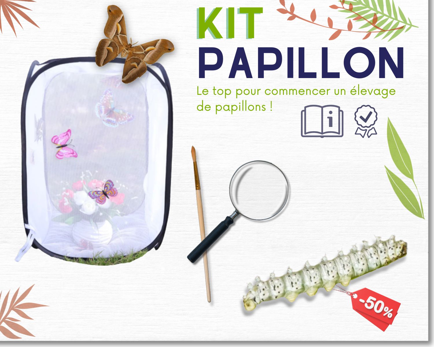 LEPITERRA Kit d'élevage de Papillons pour débutants | Réussir l'élevage des Papillons | E-Book et matériel pédagogique Gratuit | pour la Maison - Elevage de chenilles à partir de 3 Ans LEPITERRA Kit d'élevage de Papillons pour débutants | Réussir l'élevage des Papillons | E-Book et matériel pédagogique Gratuit | pour la Maison - Elevage de chenilles à partir de 3 Ans