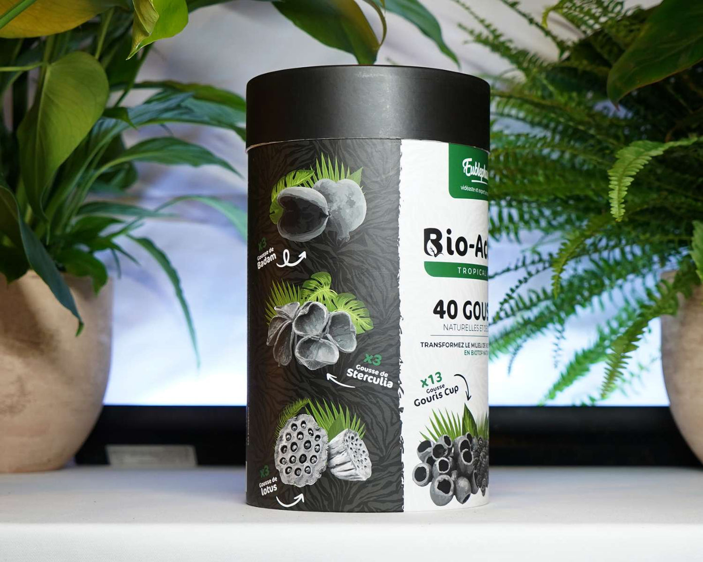 Eublepharis Tropical Kit 40 Pods