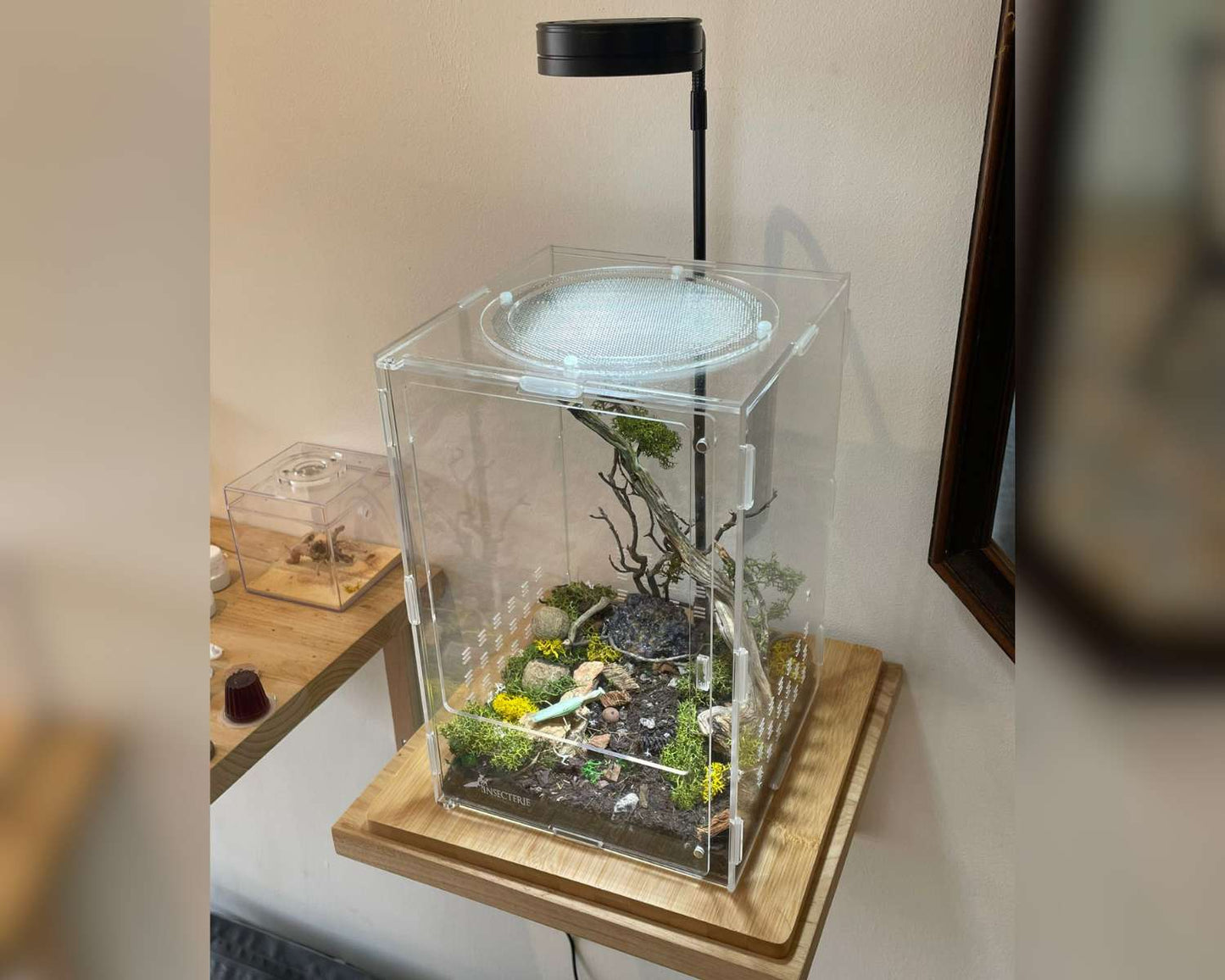 Lámpara Vivarium con Soporte de Bambú