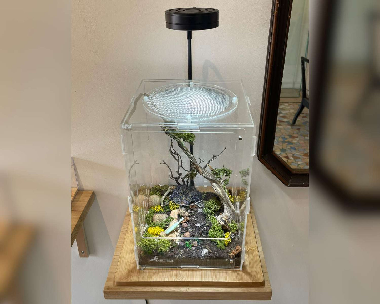 Lámpara Vivarium con Soporte de Bambú