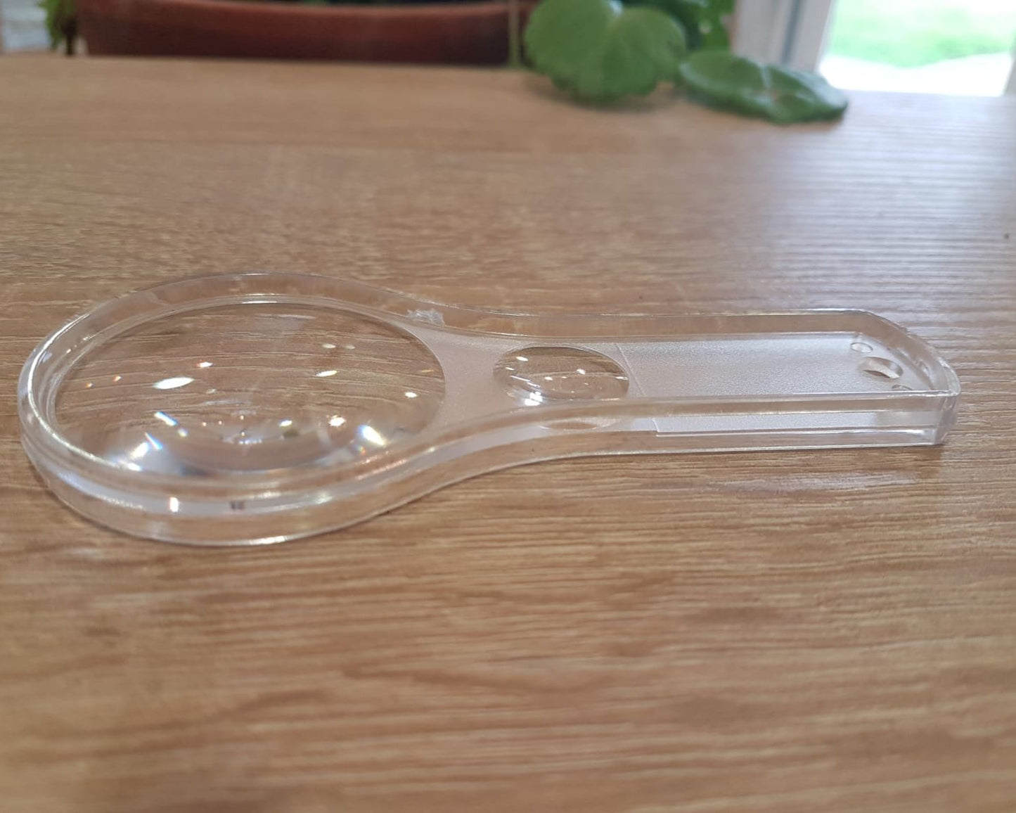 Loupe à insecte