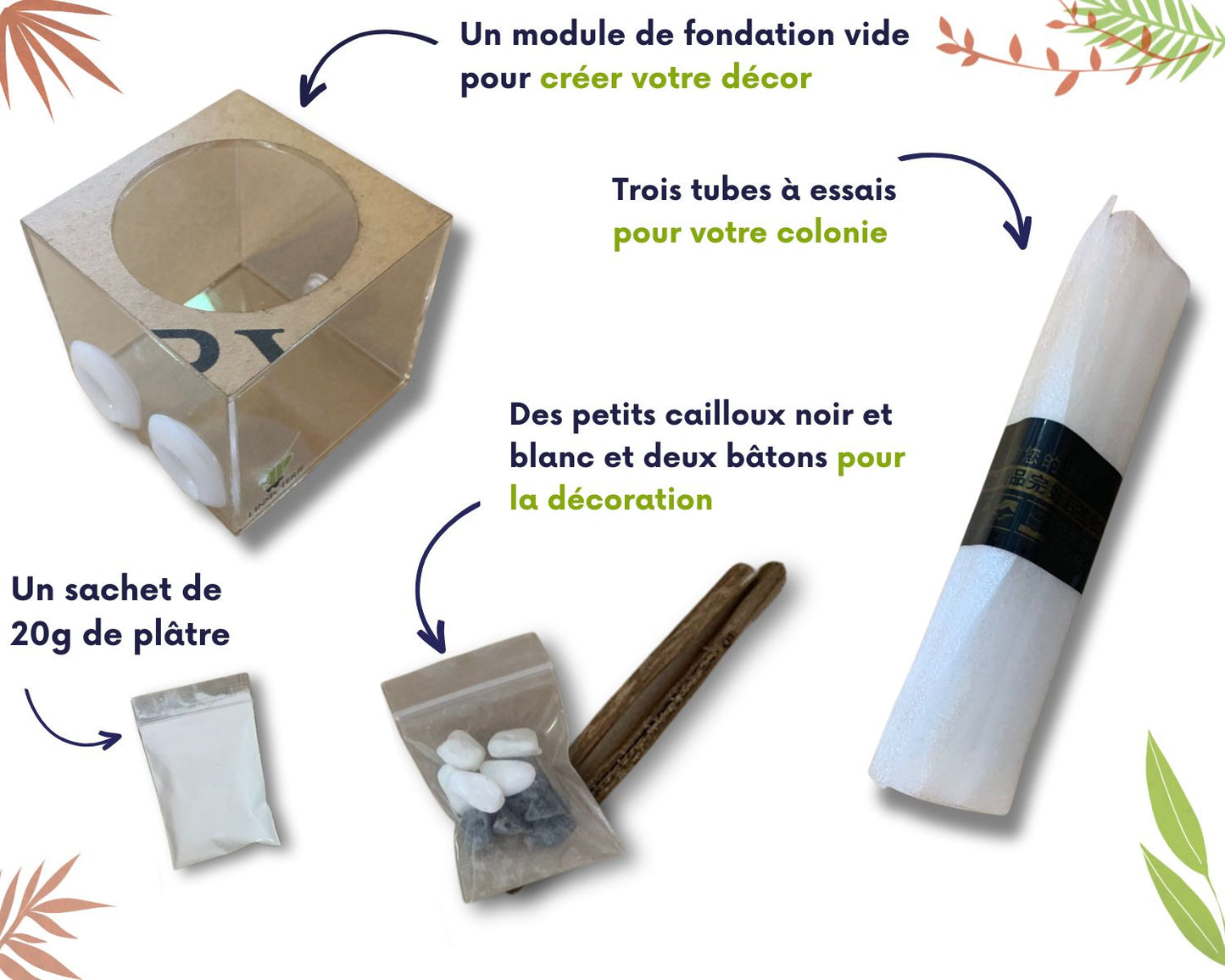 Anpassbares Foundation-Modul