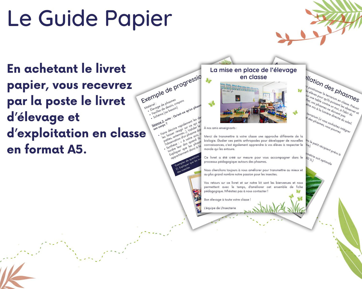 Zuchthandbuch für den Unterricht - Stabheuschrecken