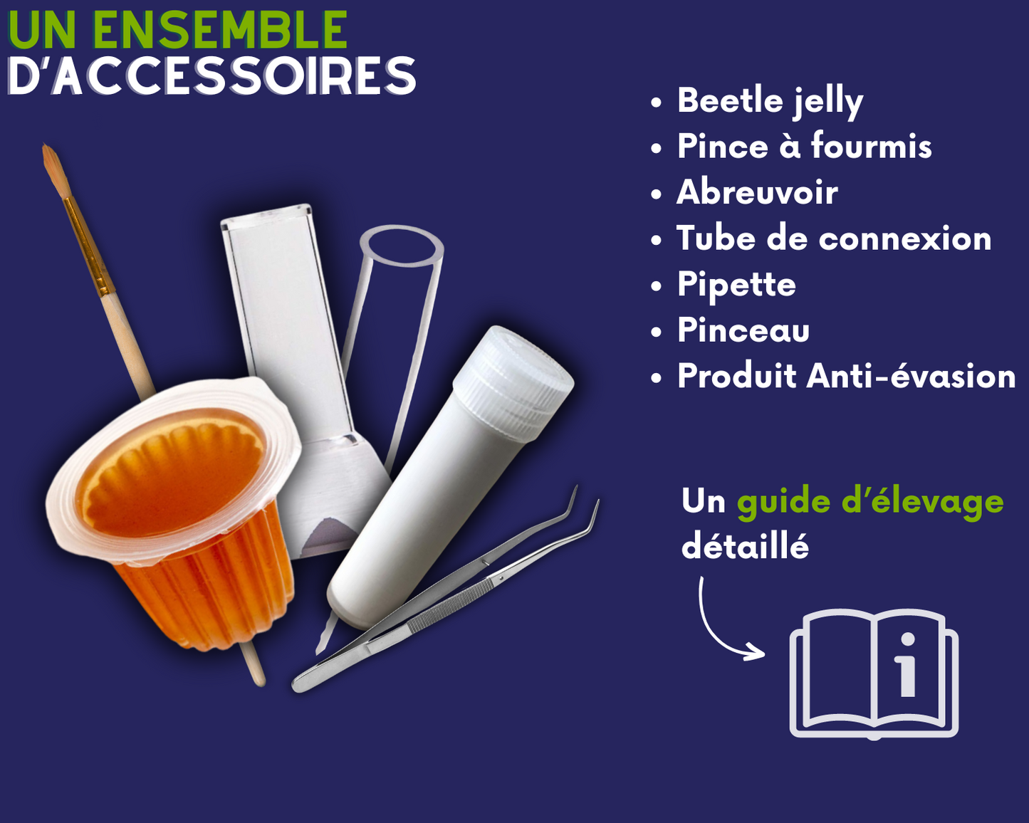 Acheter accessoire fourmis