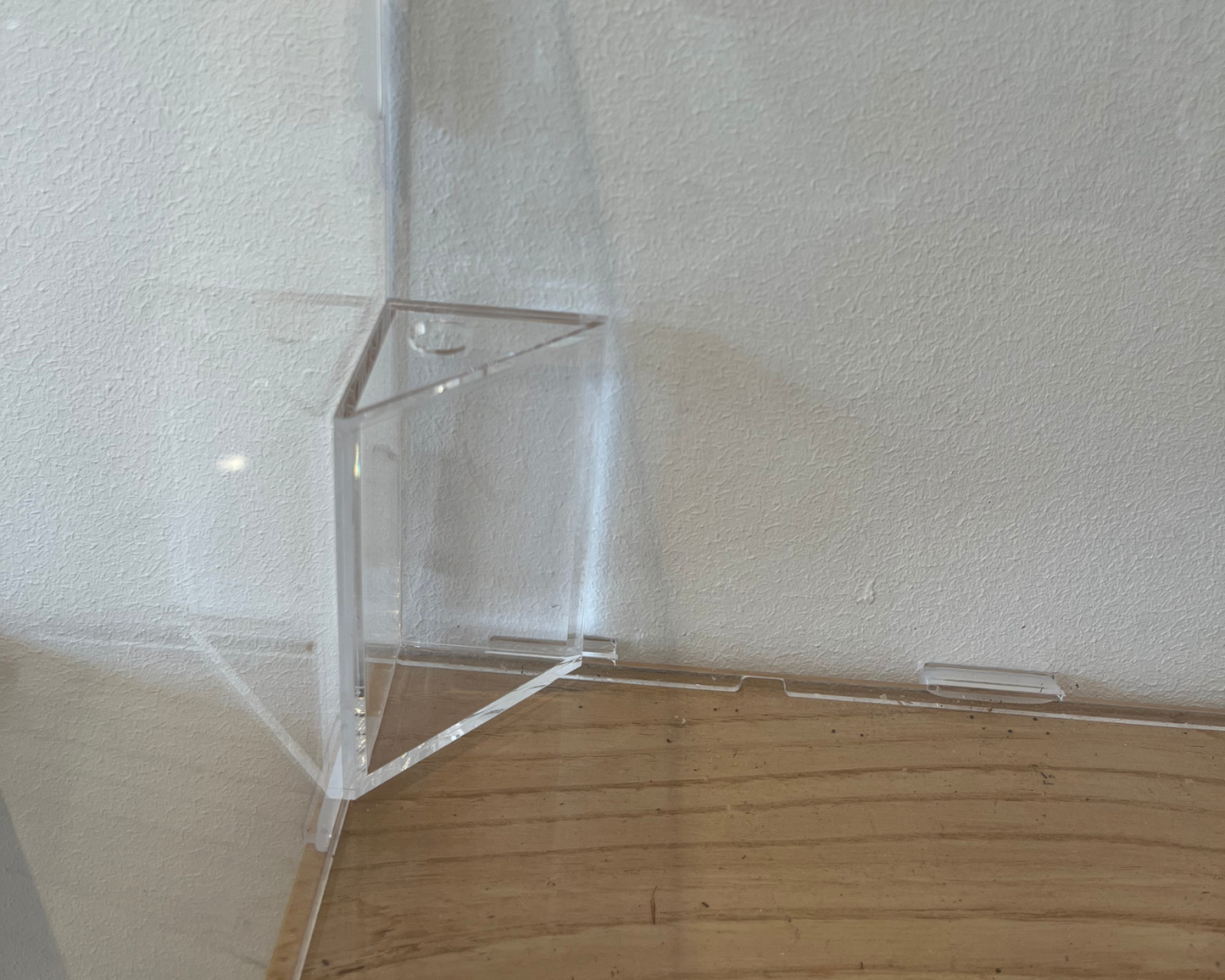 Vivarium Phasme