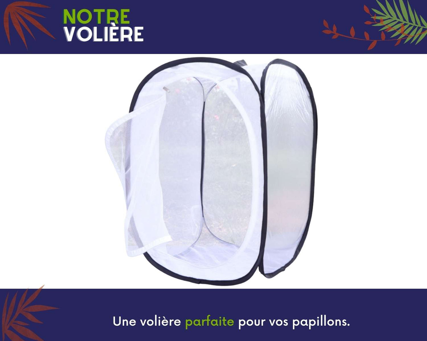 Zuchtset - Schmetterlinge