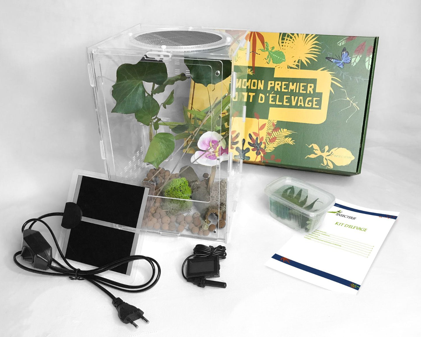 Coffret cadeau élevage mantes (religieuses)