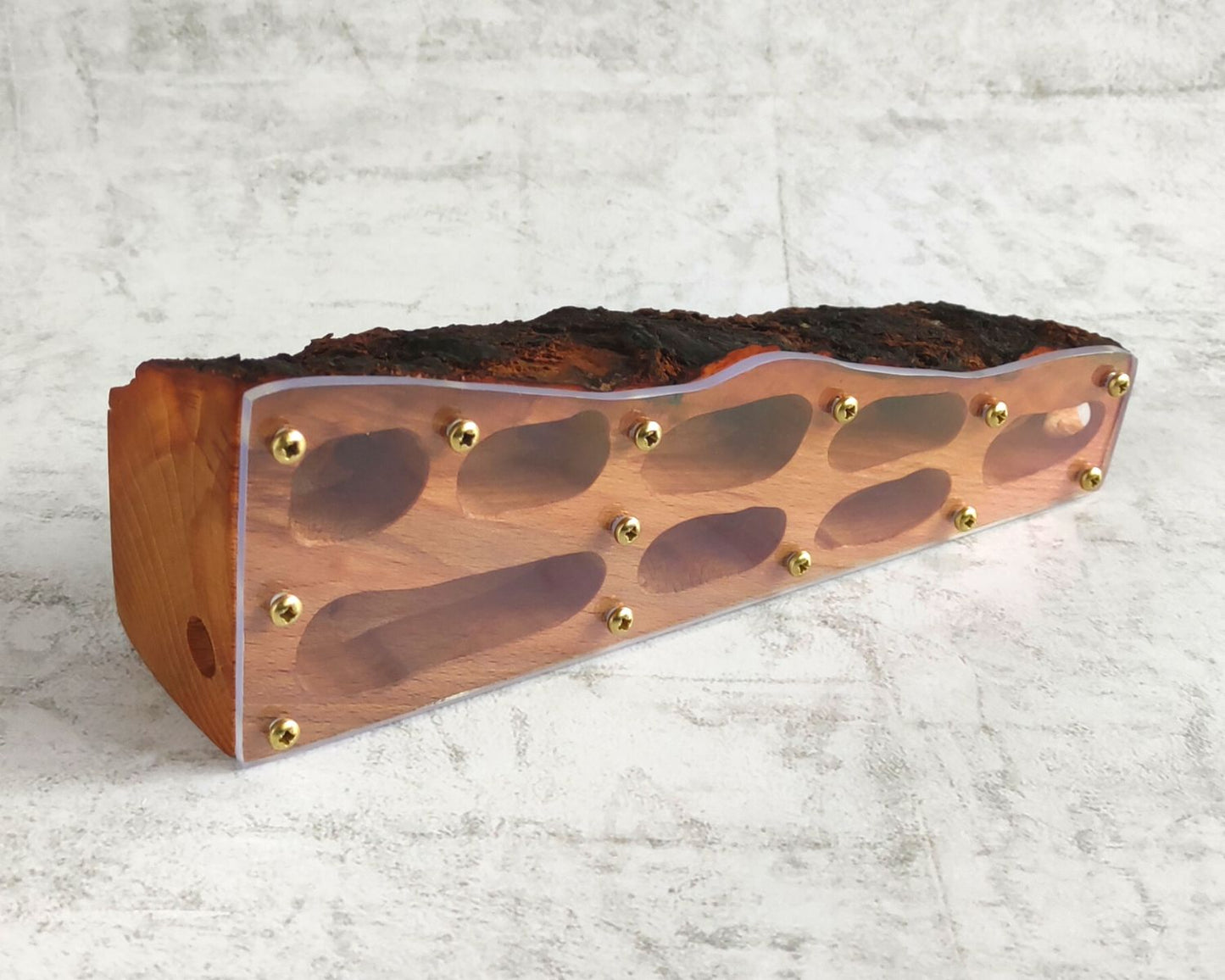 Ameisenhaufen aus Buchenholz, 20 x 6 cm