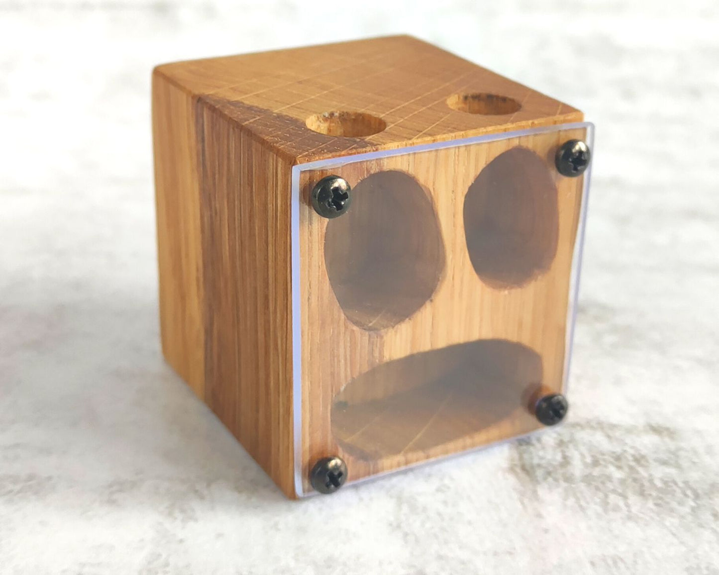 Fourmilière en bois 5 x 5 cm