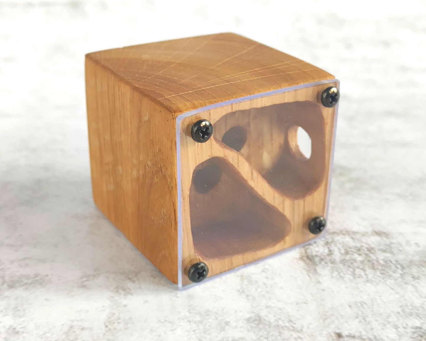 Fourmilière en bois 5 x 5 cm