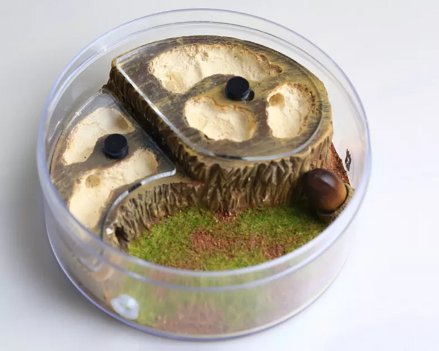 Ameisenhügel + Arena All-in-One