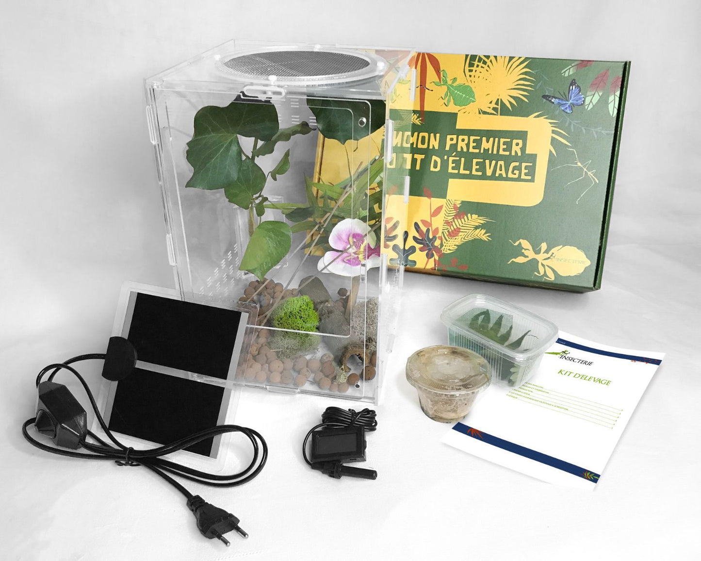 Coffret cadeau élevage mantes (religieuses)