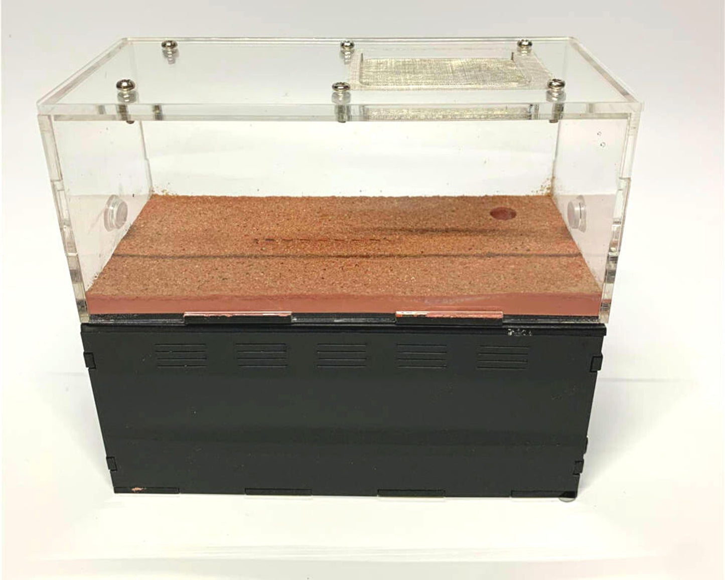 Fourmilière avec LED intégrée + Aire de chasse