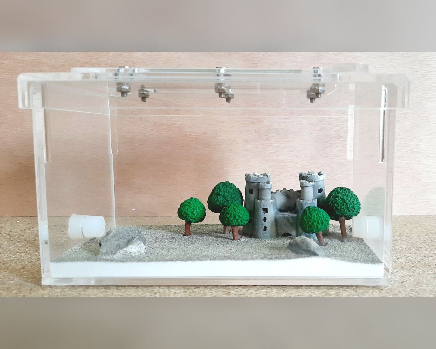 Coto de caza de hormigas - Decoración de su elección