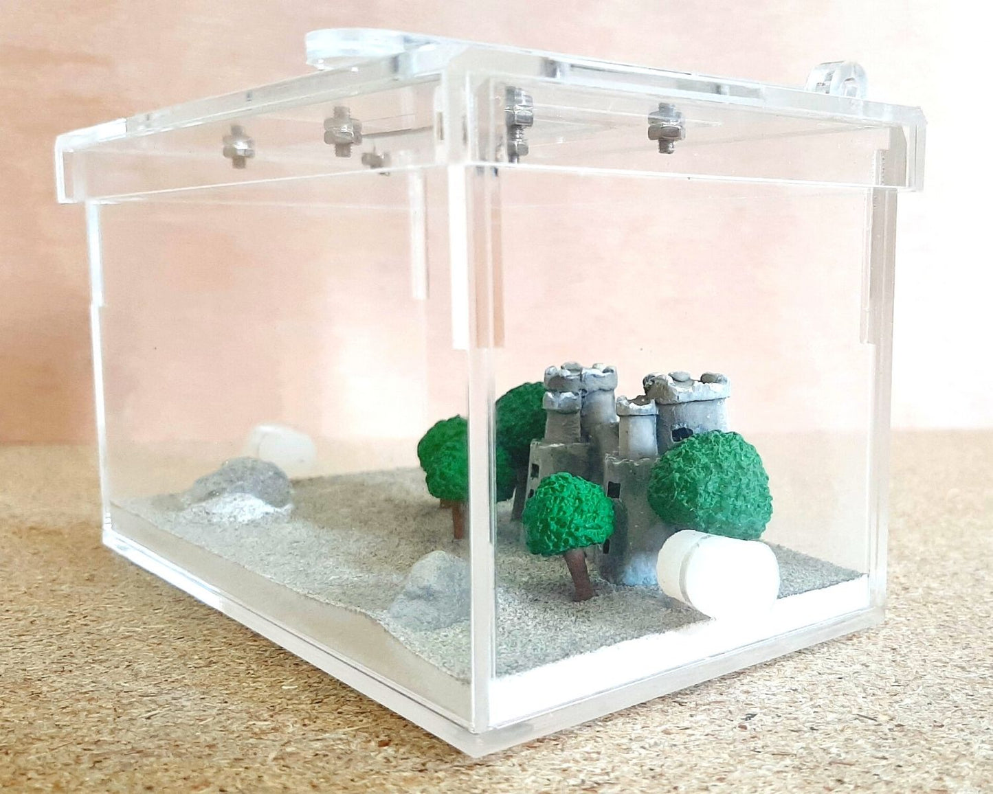 Coto de caza de hormigas - Decoración de su elección