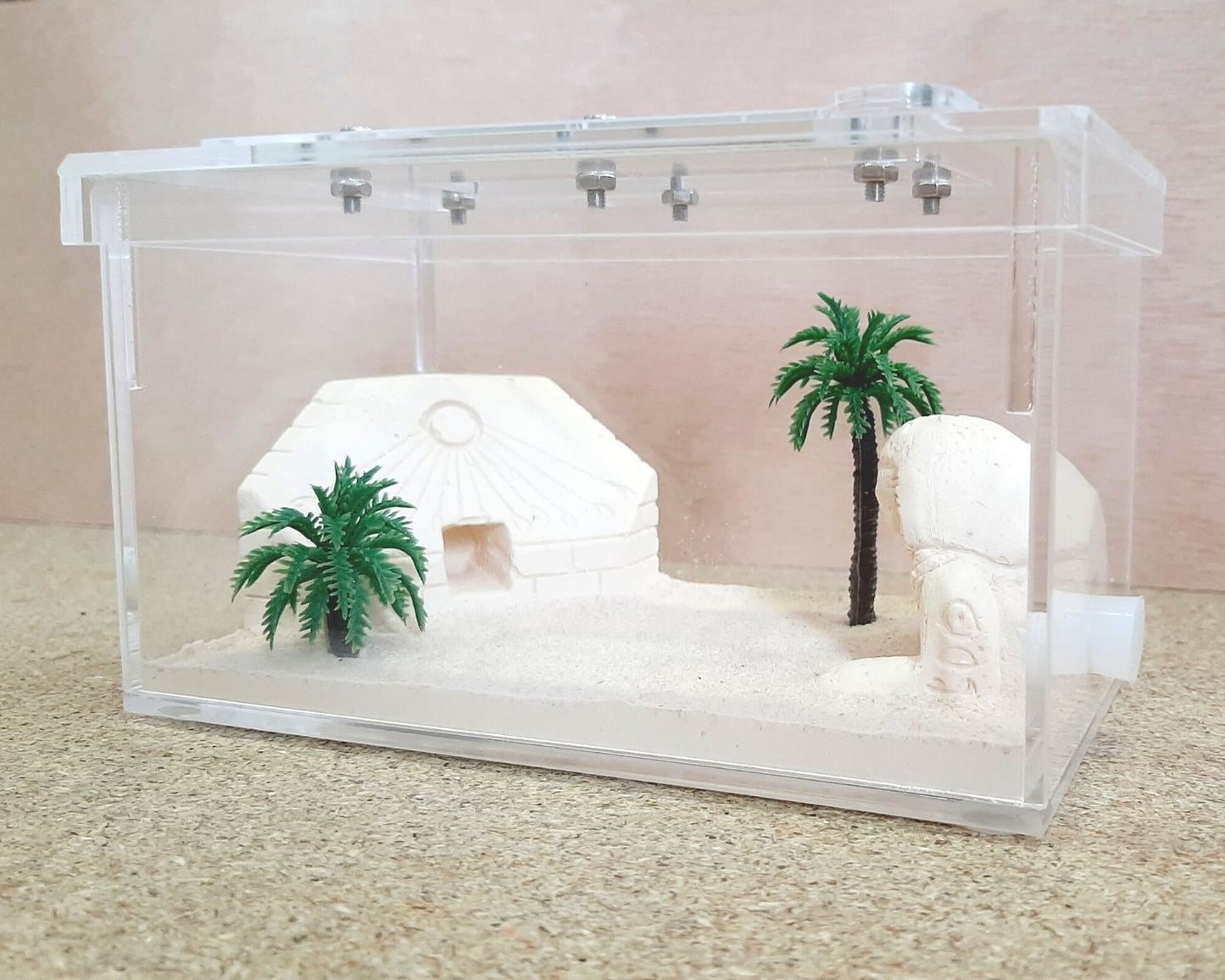 Coto de caza de hormigas - Decoración de su elección