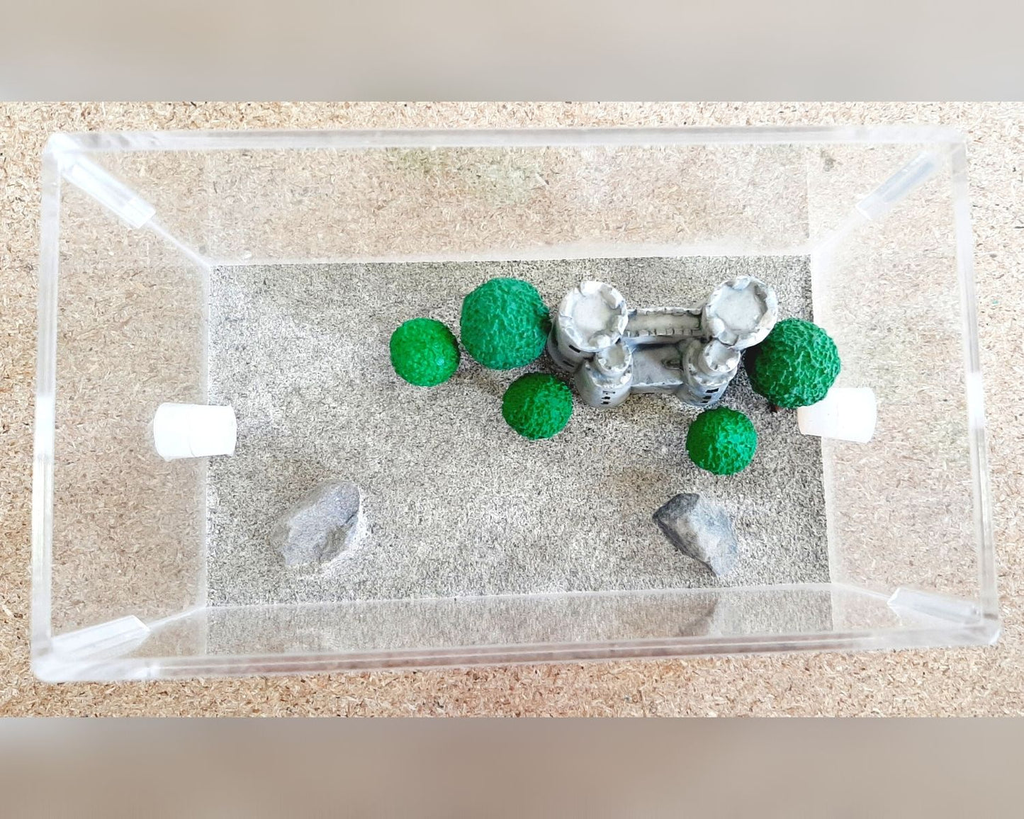 Coto de caza de hormigas - Decoración de su elección