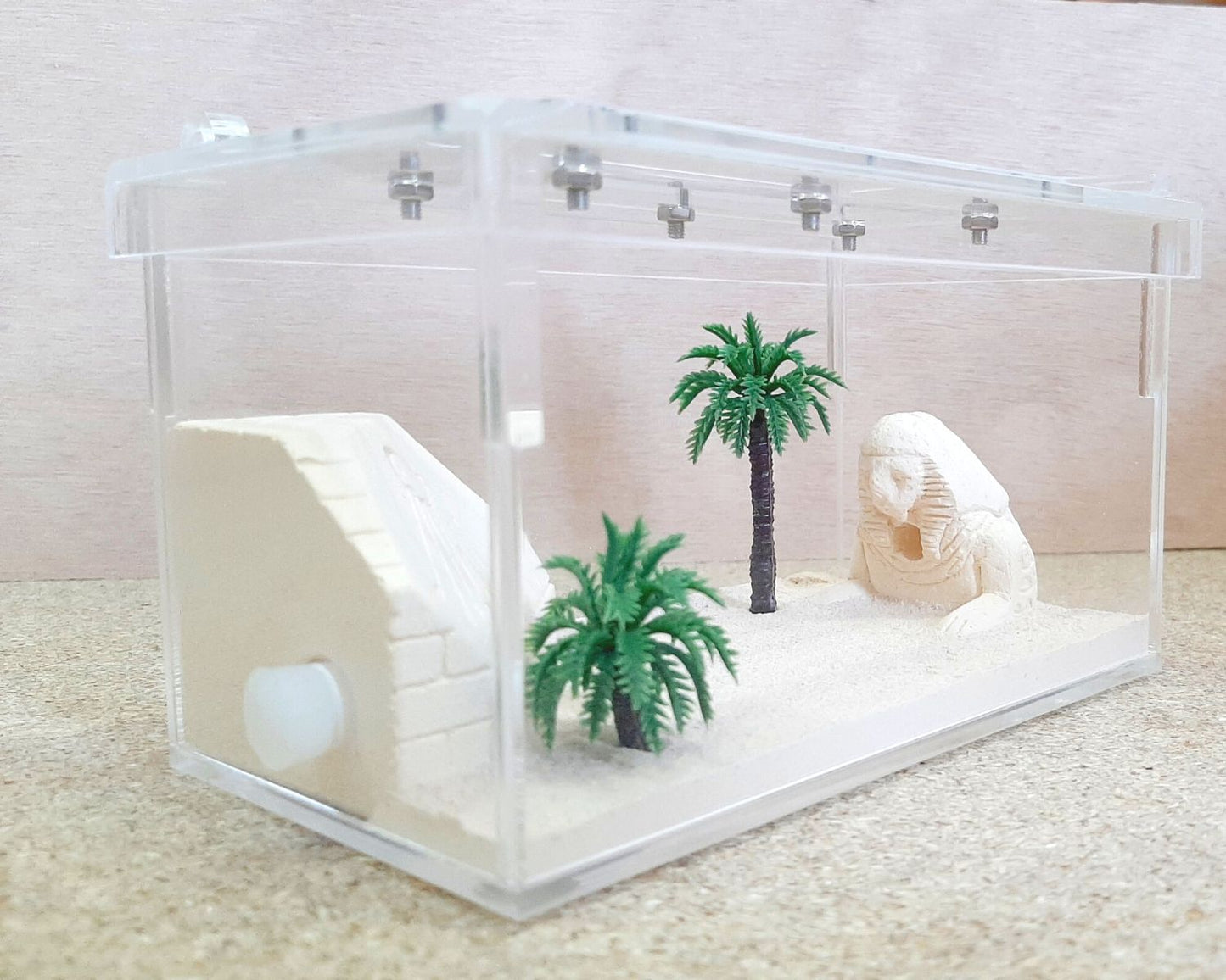Coto de caza de hormigas - Decoración de su elección