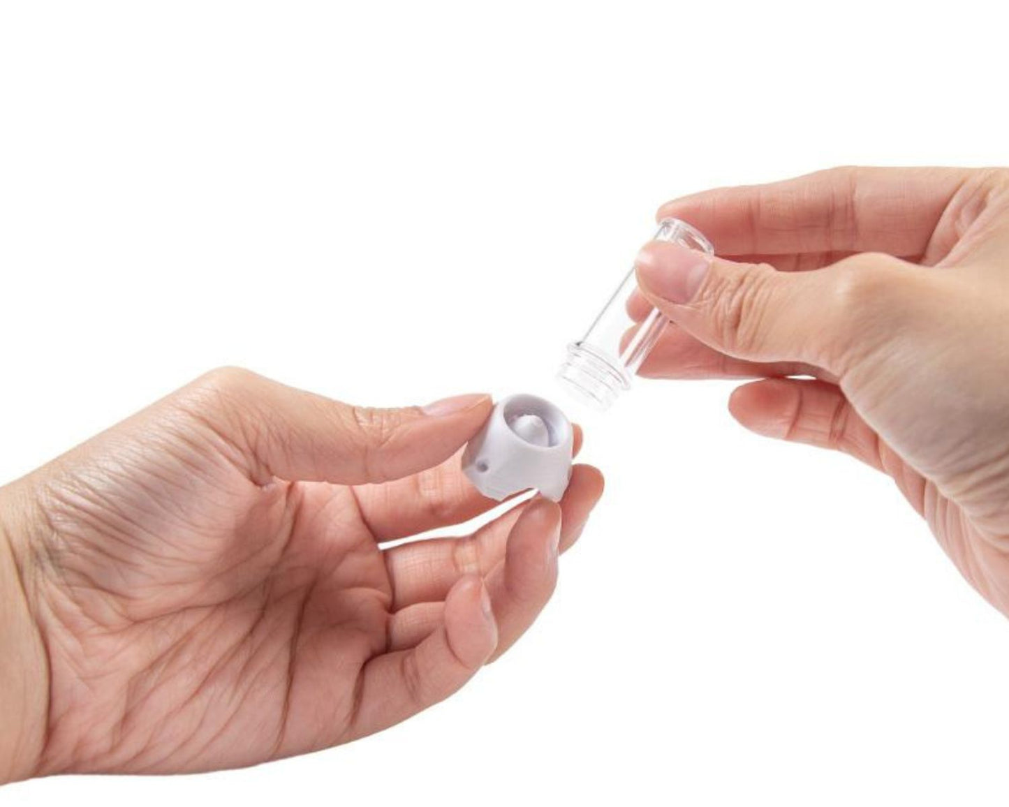 Abreuvoir à fourmis