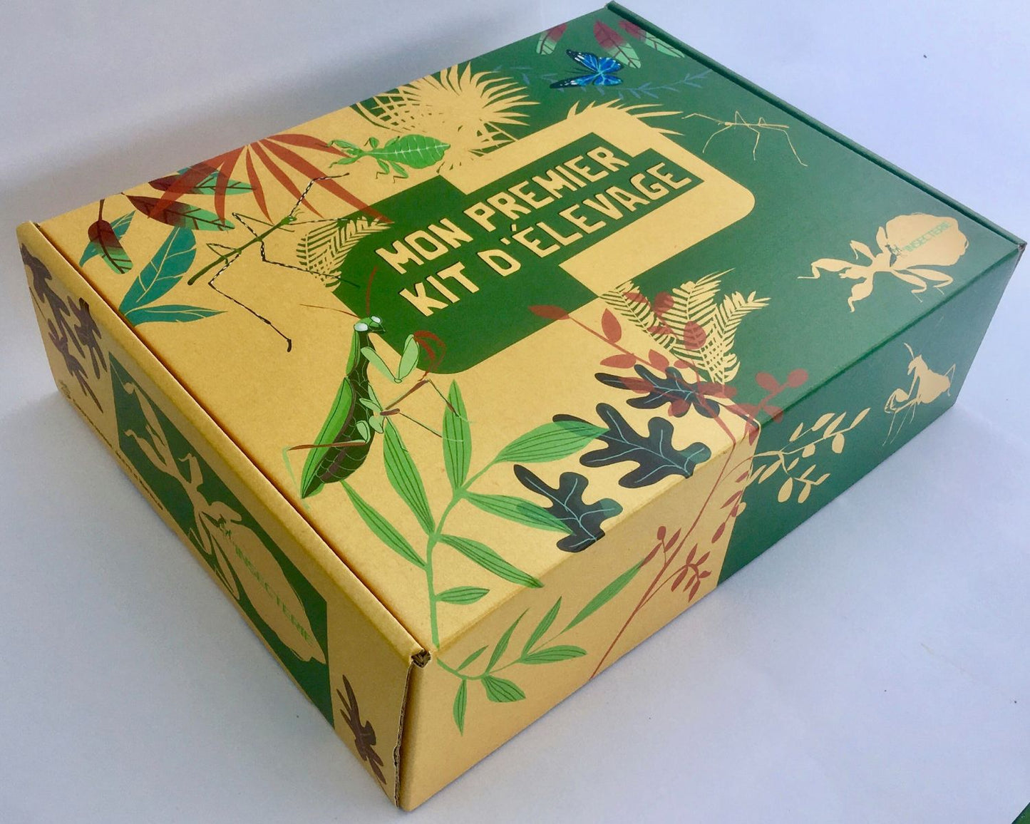 Coffret cadeau élevage mantes (religieuses)