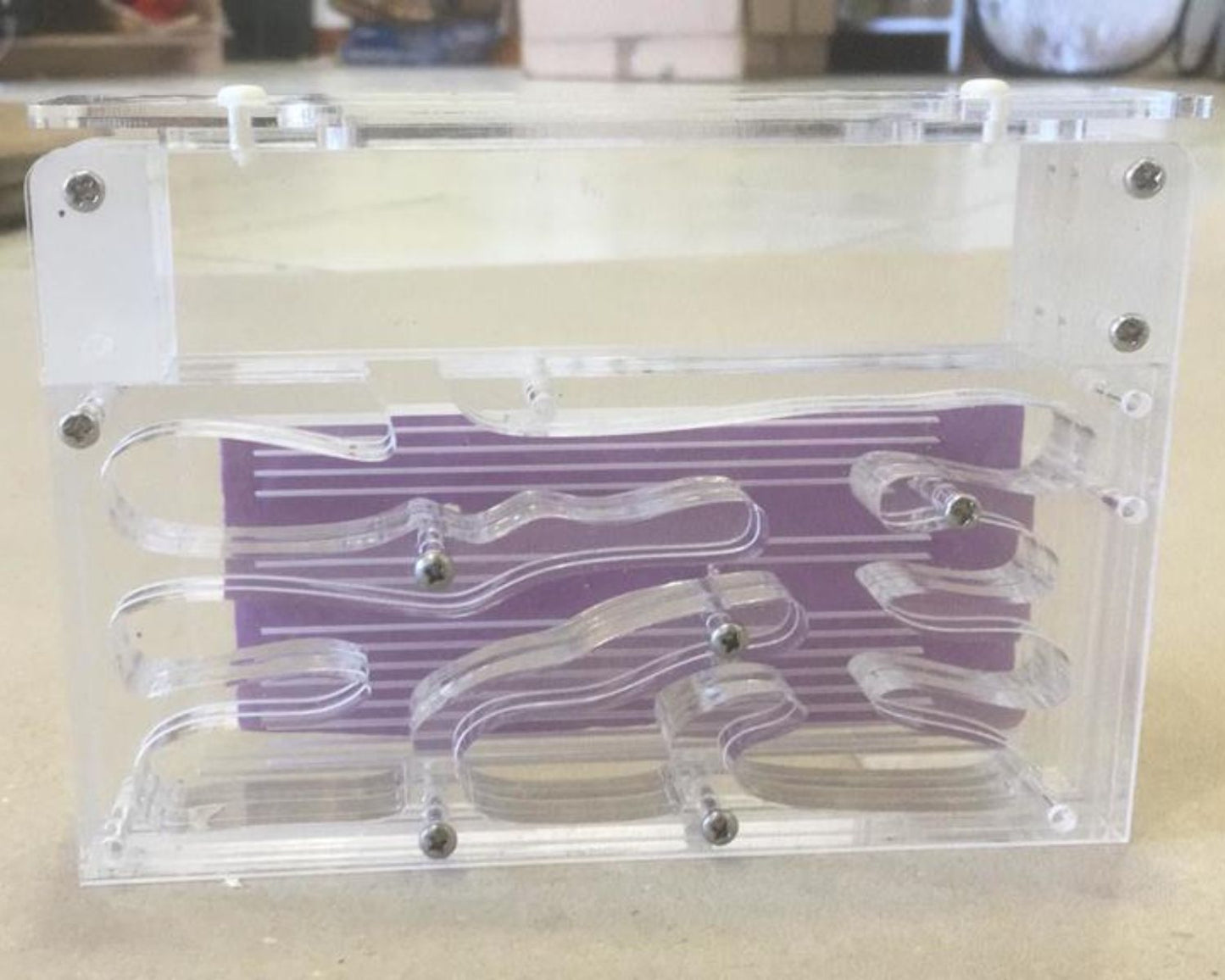 Fourmilière verticale