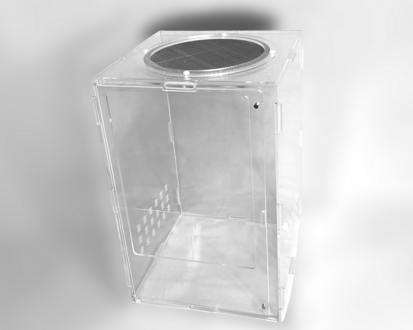 Vivarium pour insectes - Mantes