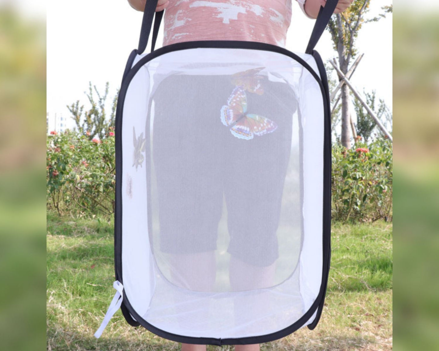 Volière pour papillons