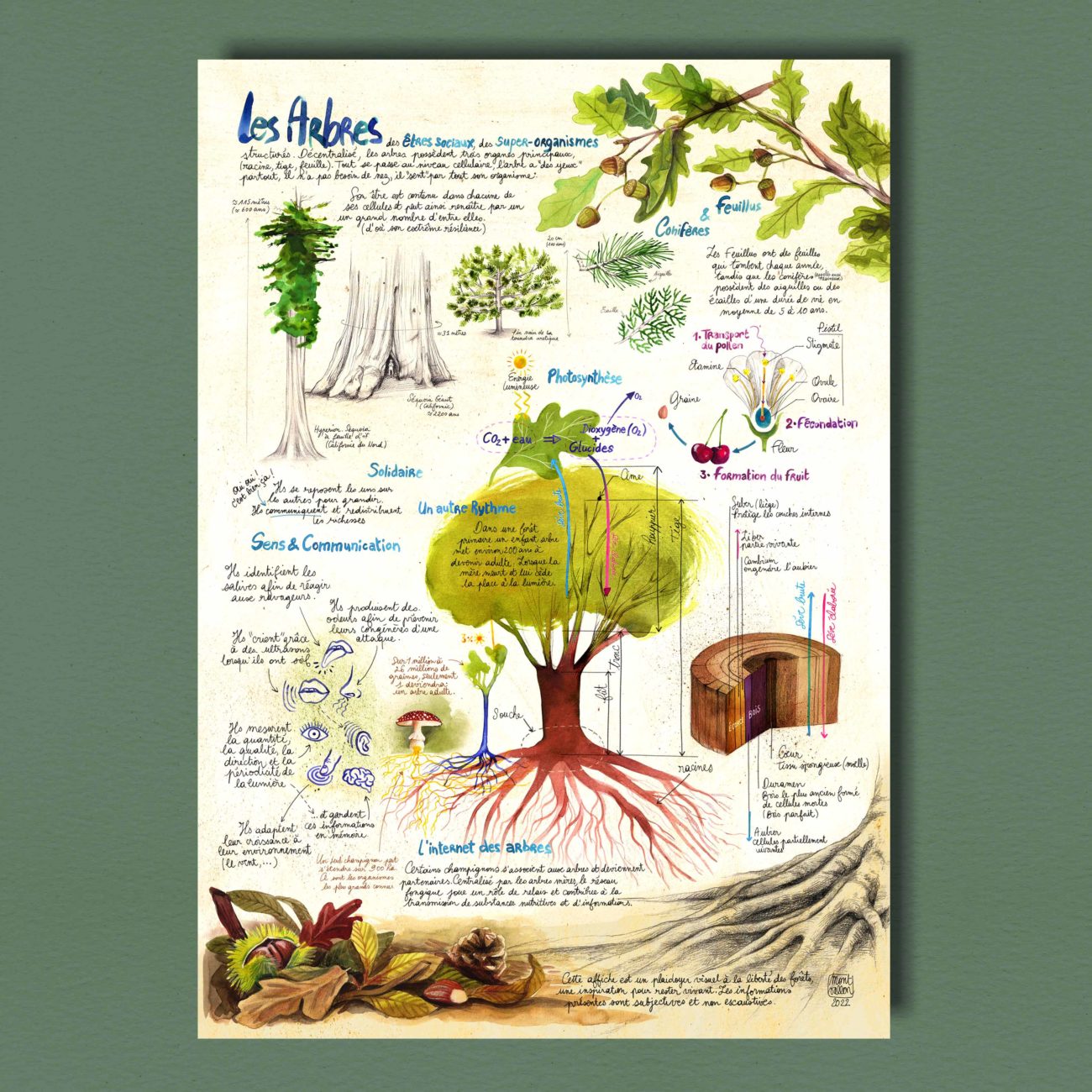 Pósters de árboles