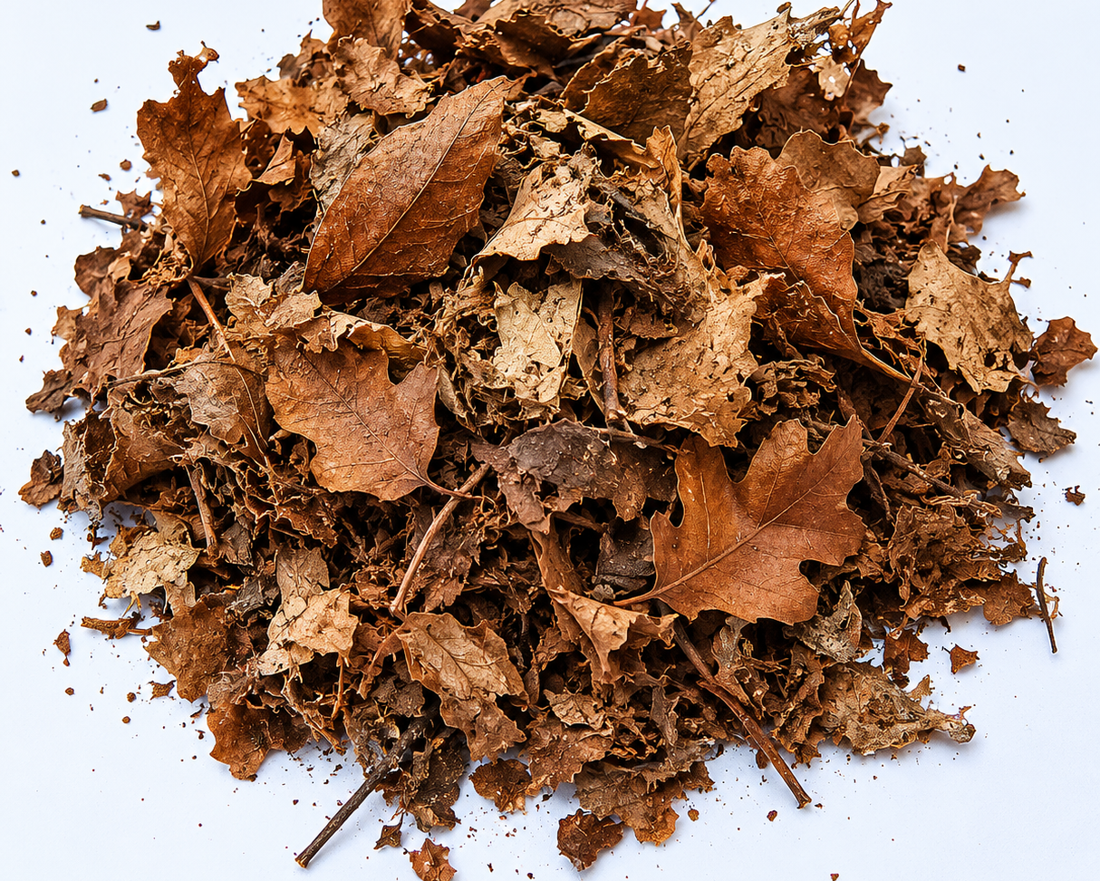 Mélange de feuilles d'arbres séchées pour terrarium bioactif et isopodes