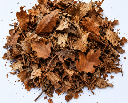 Mélange de feuilles d'arbres séchées pour terrarium bioactif et isopodes