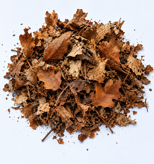 Melange de feuilles d'arbre séché
