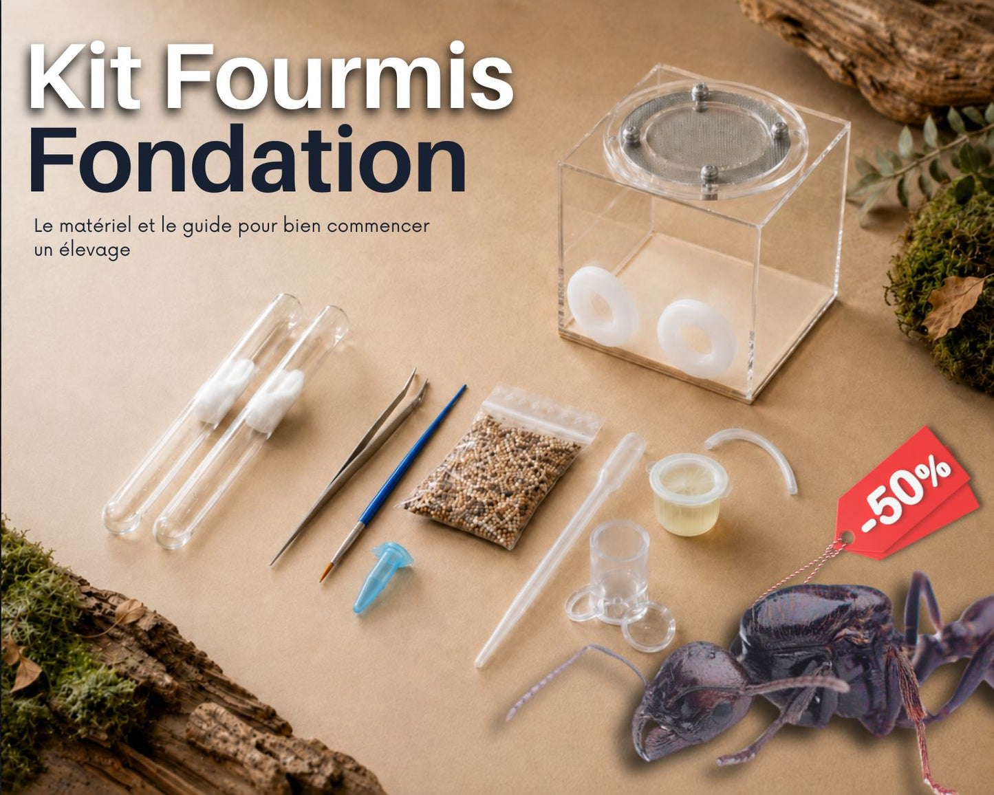 Kit d’élevage de Fourmis - Pack Fondation STARTER