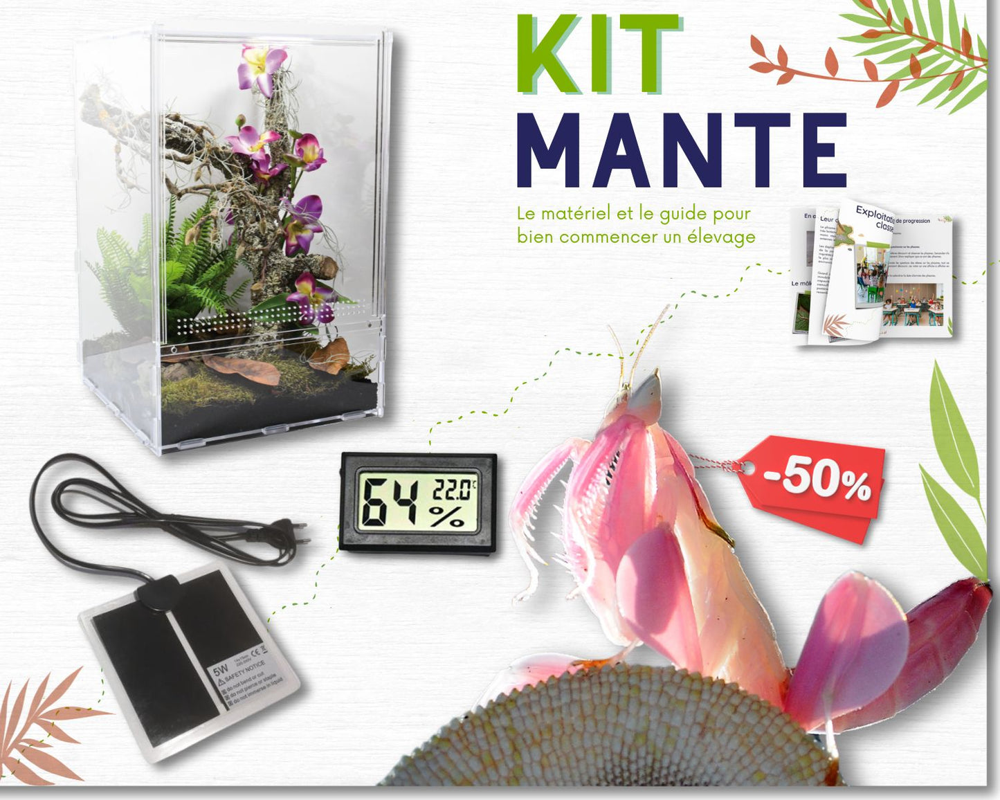 Kit de cría - Mantis (religiosa) 