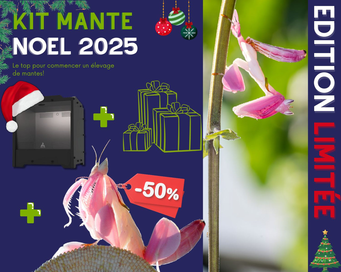 Kit Cadeau - Mante - Noel 2025