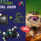 Kit Cadeau - Phidippus - Noel 2025