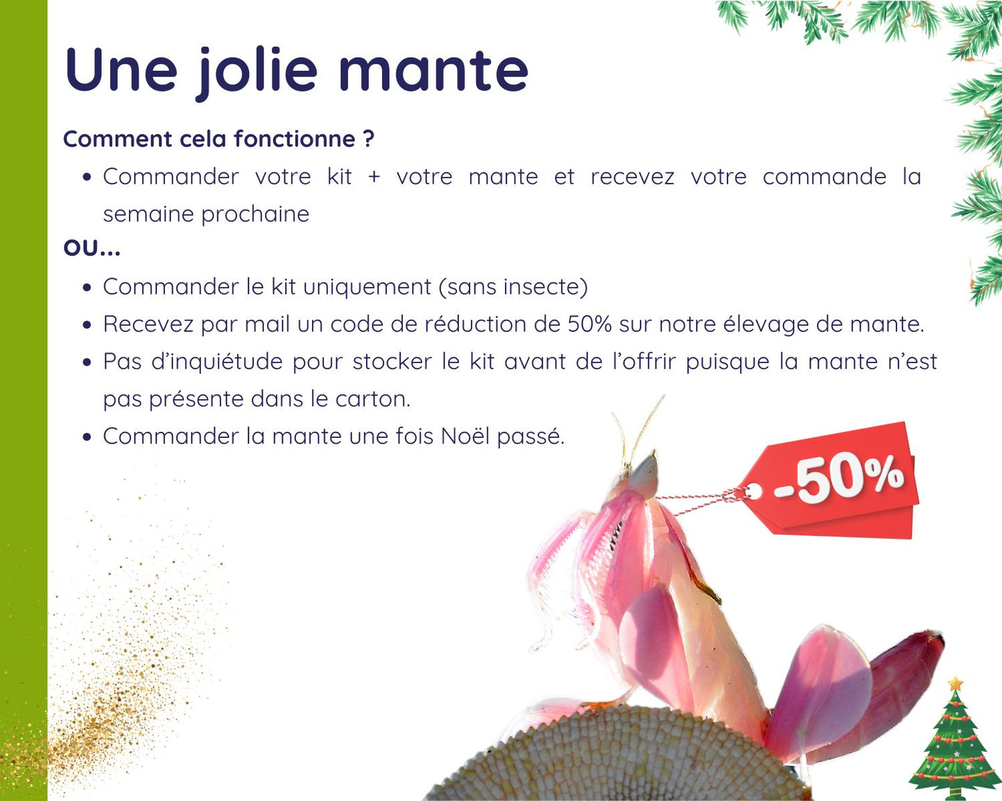 Kit Cadeau - Mante - Noel 2025