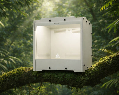 Geschenkset Phasmidenzucht