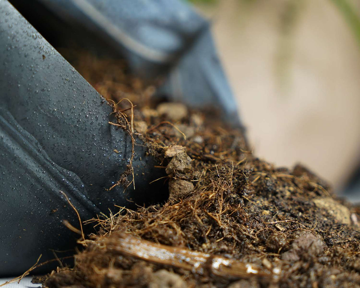 Substrate Insect Eublepharis Substrat Premium Tropical Soil – L'insecterie