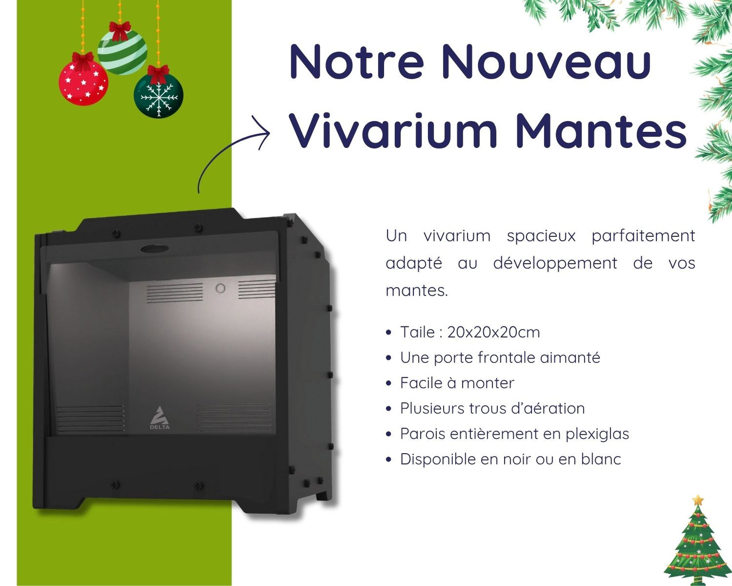 Kit Cadeau - Mante - Noel 2025