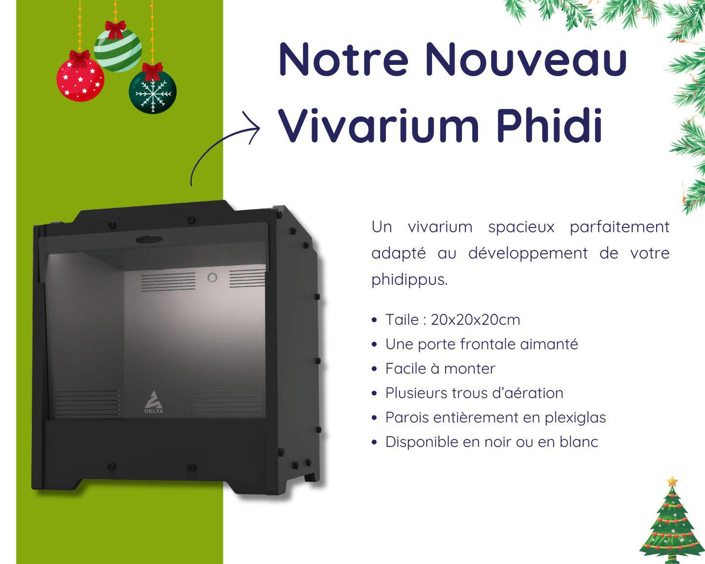 Kit Cadeau - Phidippus - Noel 2025